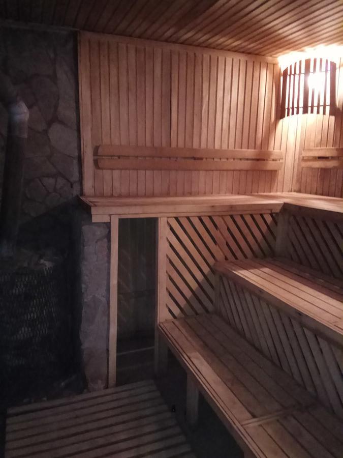 Карпаты Викинг Нижнее Синевидное Экстерьер фото
