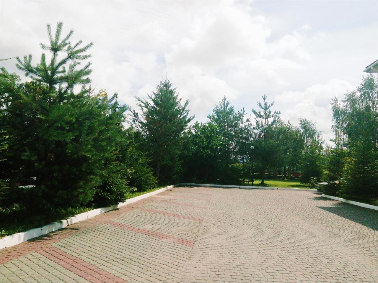 Карпаты Викинг Нижнее Синевидное Экстерьер фото