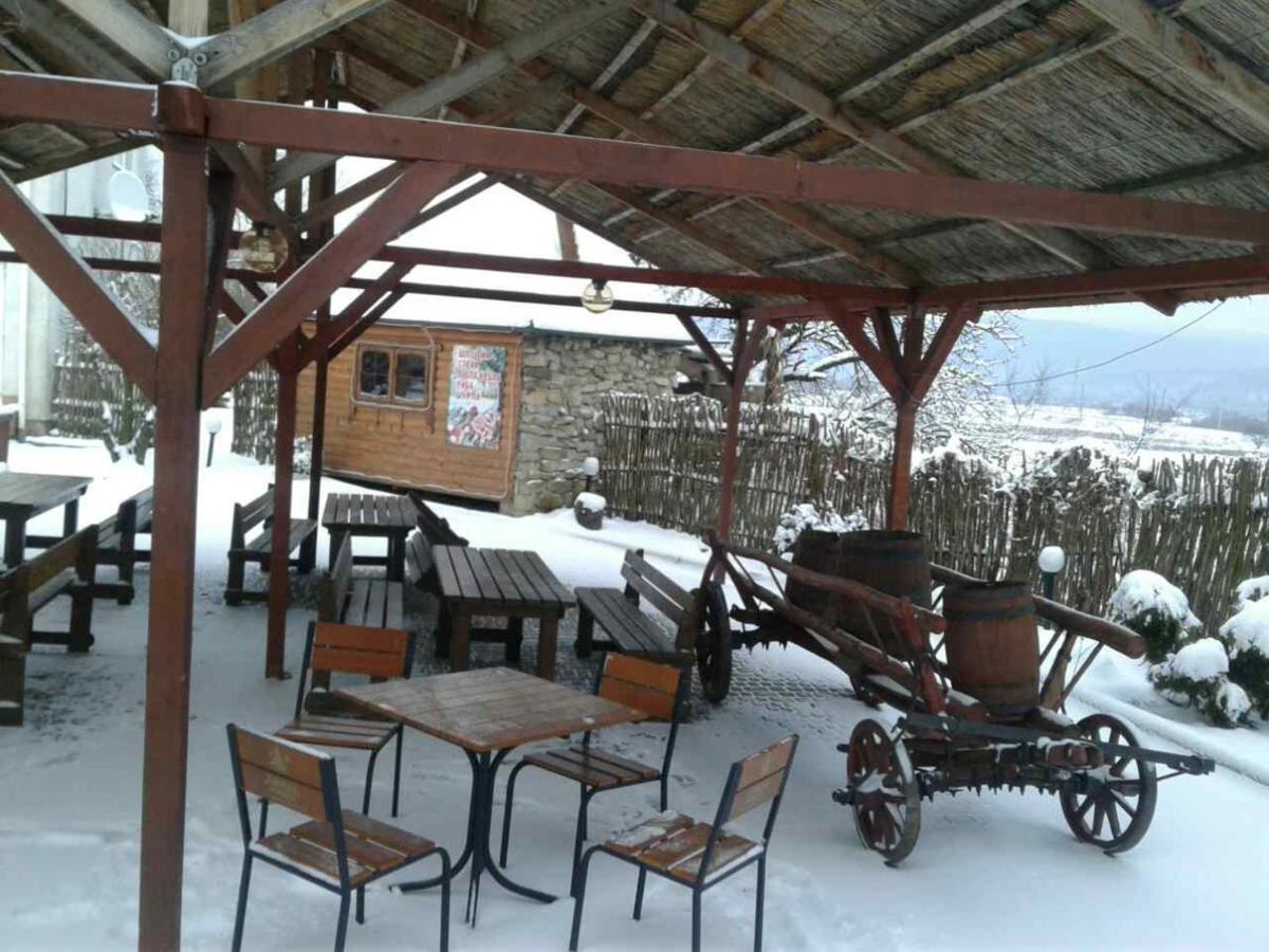 Карпаты Викинг Нижнее Синевидное Экстерьер фото