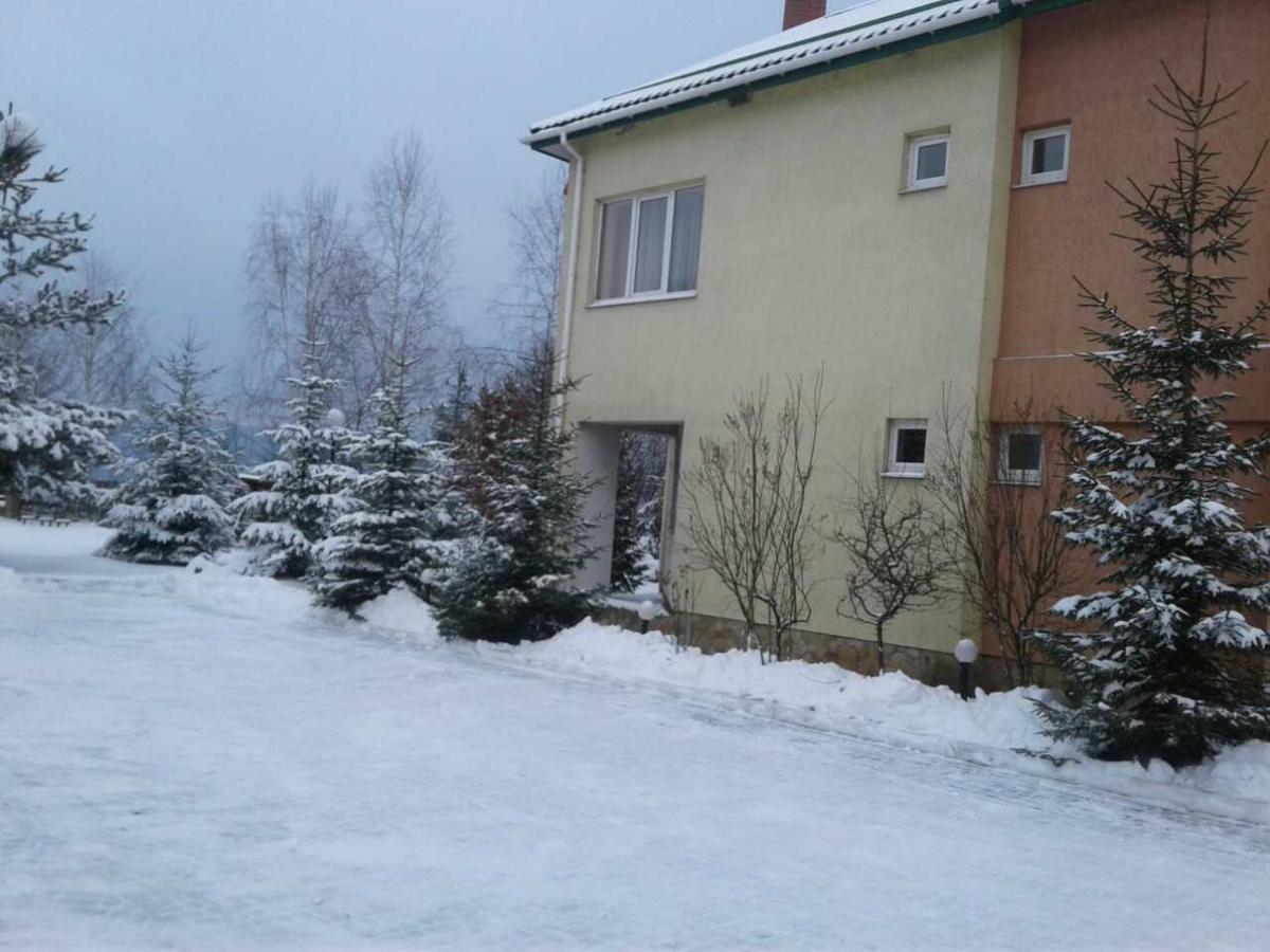 Карпаты Викинг Нижнее Синевидное Экстерьер фото